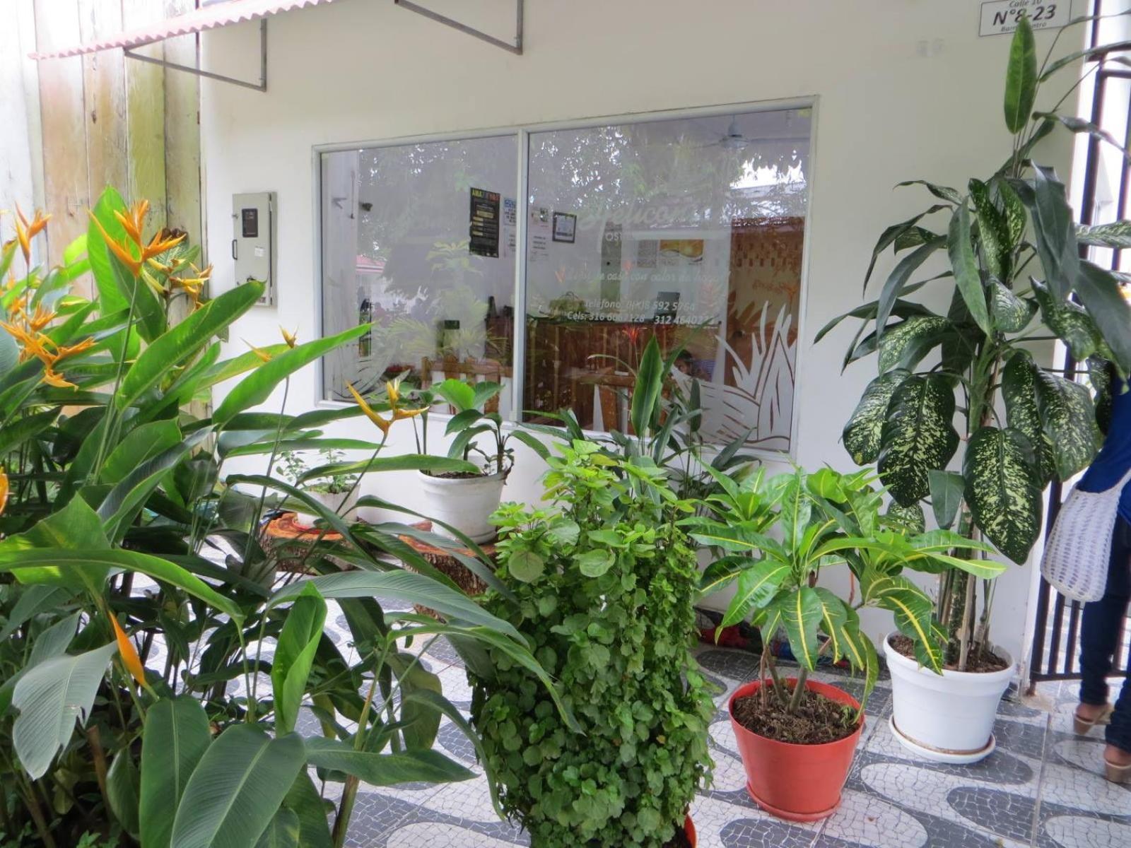 Hotel Heliconias Leticia Exterior photo